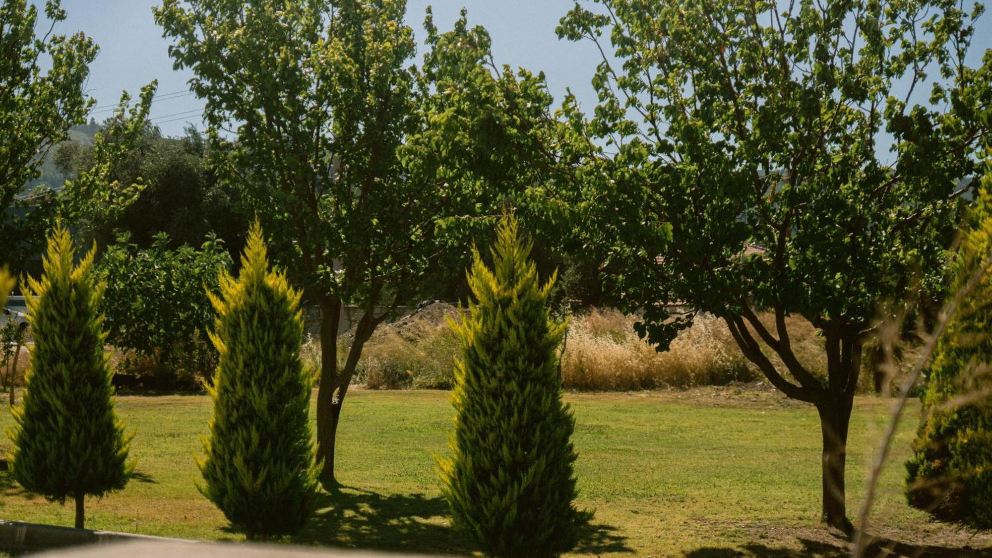 Vela Garden Resort Alaçatı Exteriör bild