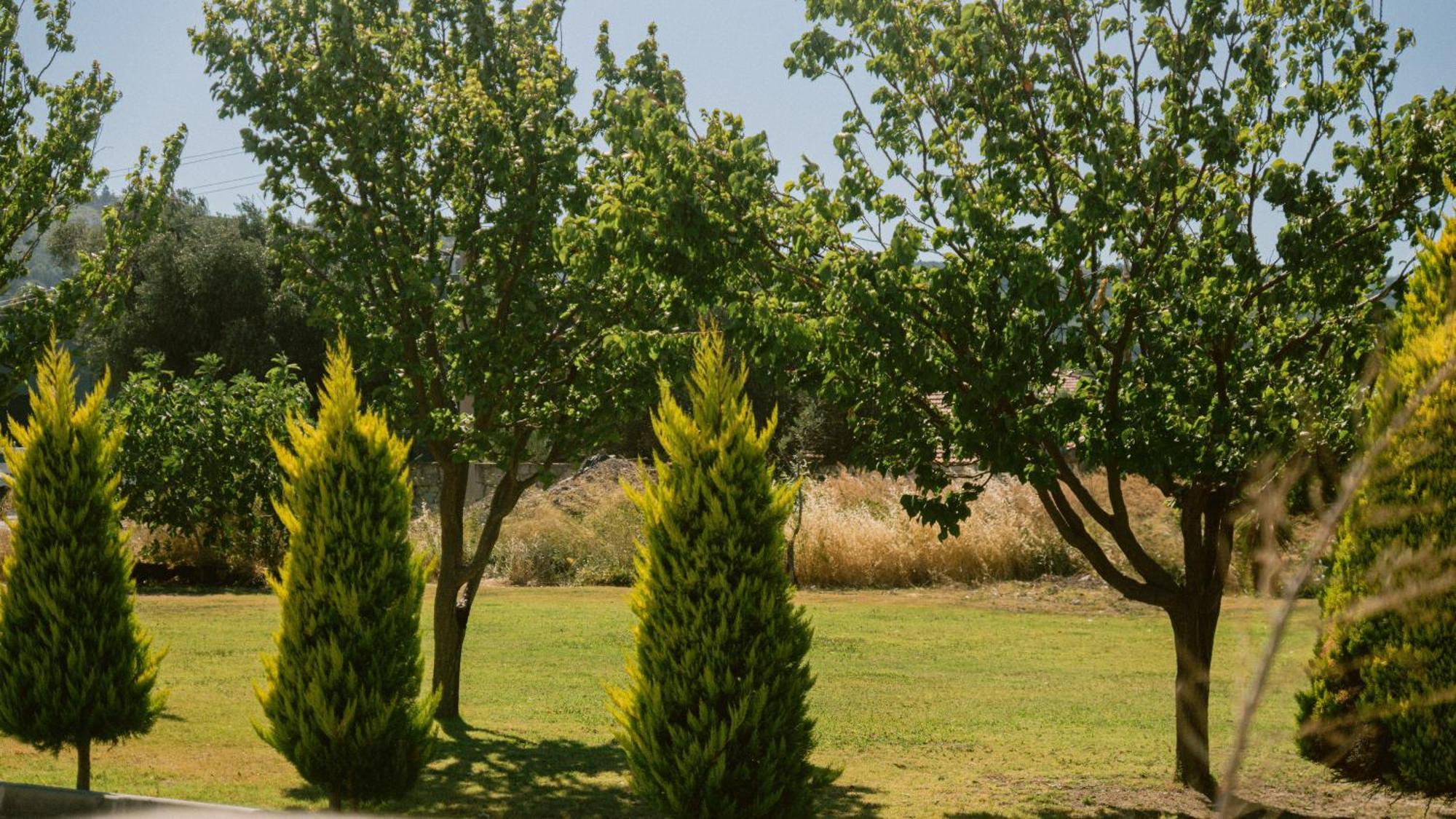 Vela Garden Resort Alaçatı Exteriör bild